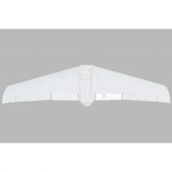 E-flite Painted Wing V1200