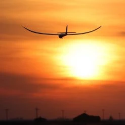 E-flite Night Radian 2.0m PNP -RC Planes Sales Shop EFL36750 A01 JCGR9MJH