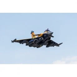 FMS Rafale 80mm EDF PNP with Reflex -RC Planes Sales Shop FMM131PX A11 WERQD39Z