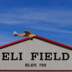 Hangar 9 Carbon Cub 15cc ARF, 90" -RC Planes Sales Shop HAN5065 A8 Y3VWKKGS