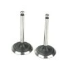 Saito Engines Valve (In & Out)Pair:AD,AE