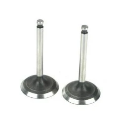 Saito Engines Valve (In & Out)Pair:AD,AE