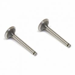 Saito Engines Valve-In/Out (2):G-J,R,S