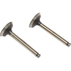 Saito Engines Valve In/Out:K,DD,EE, CF